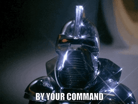 by your command gif