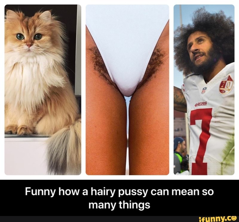 chetan baragi recommends hairy pussy meme pic
