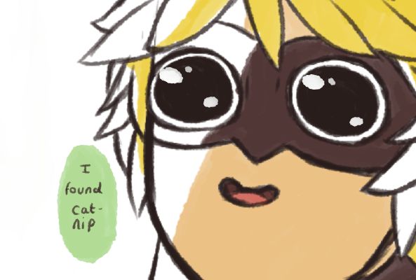 anna marie morigo recommends Miraculous Ladybug Fanfiction Catnip Lemon