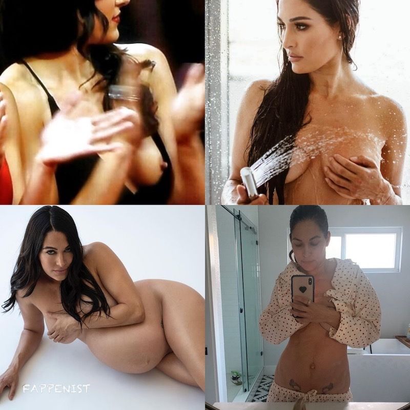 cah gemblonk recommends bella twins nip slips pic