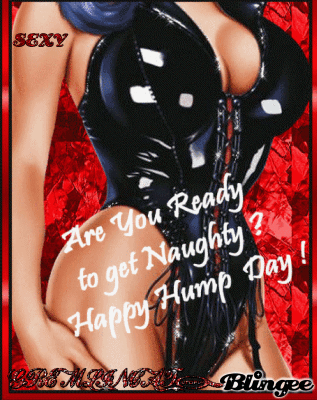 Best of Happy hump day sexy images