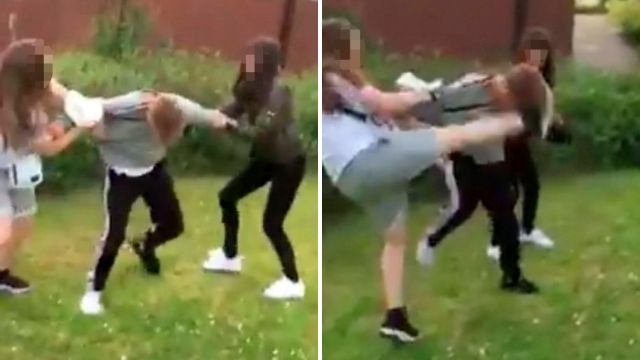 charlotte ernst recommends girl beat boy up pic