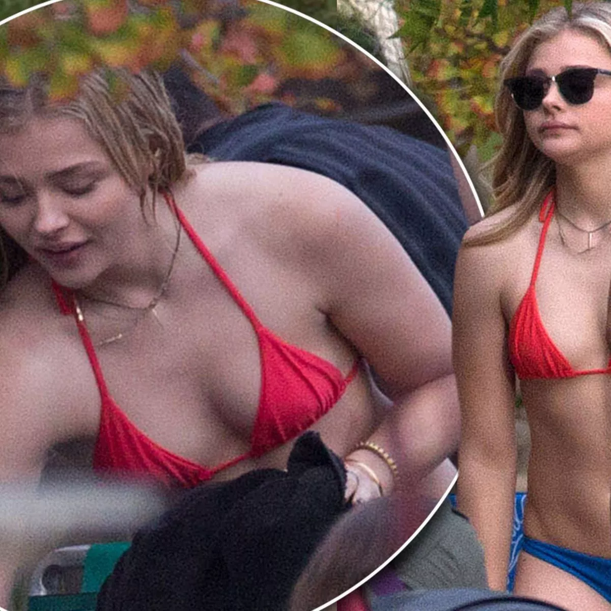 bruce gerard recommends Chloe Moretz Swim Suit