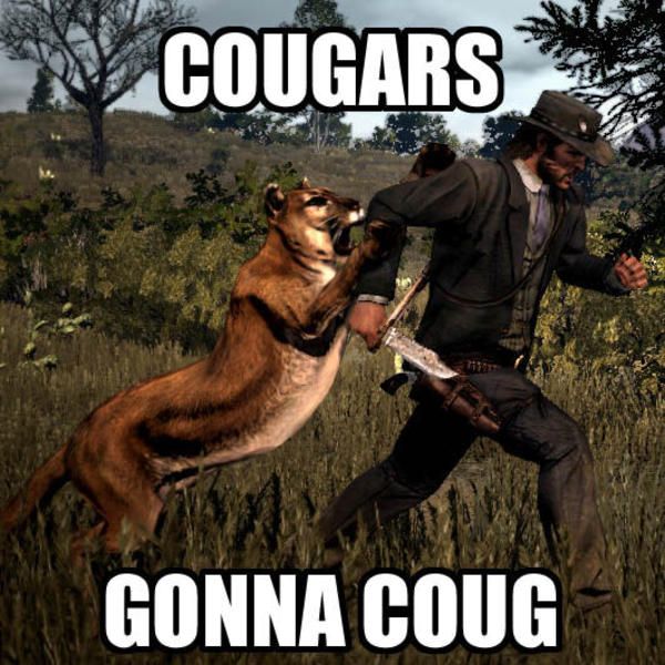 allison trapp recommends cougar woman meme pic