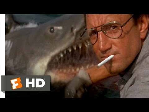 we re gonna need a bigger boat gif