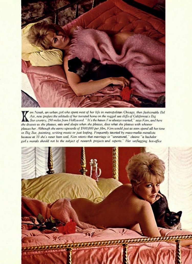 bryan knecht recommends kim novak topless pic