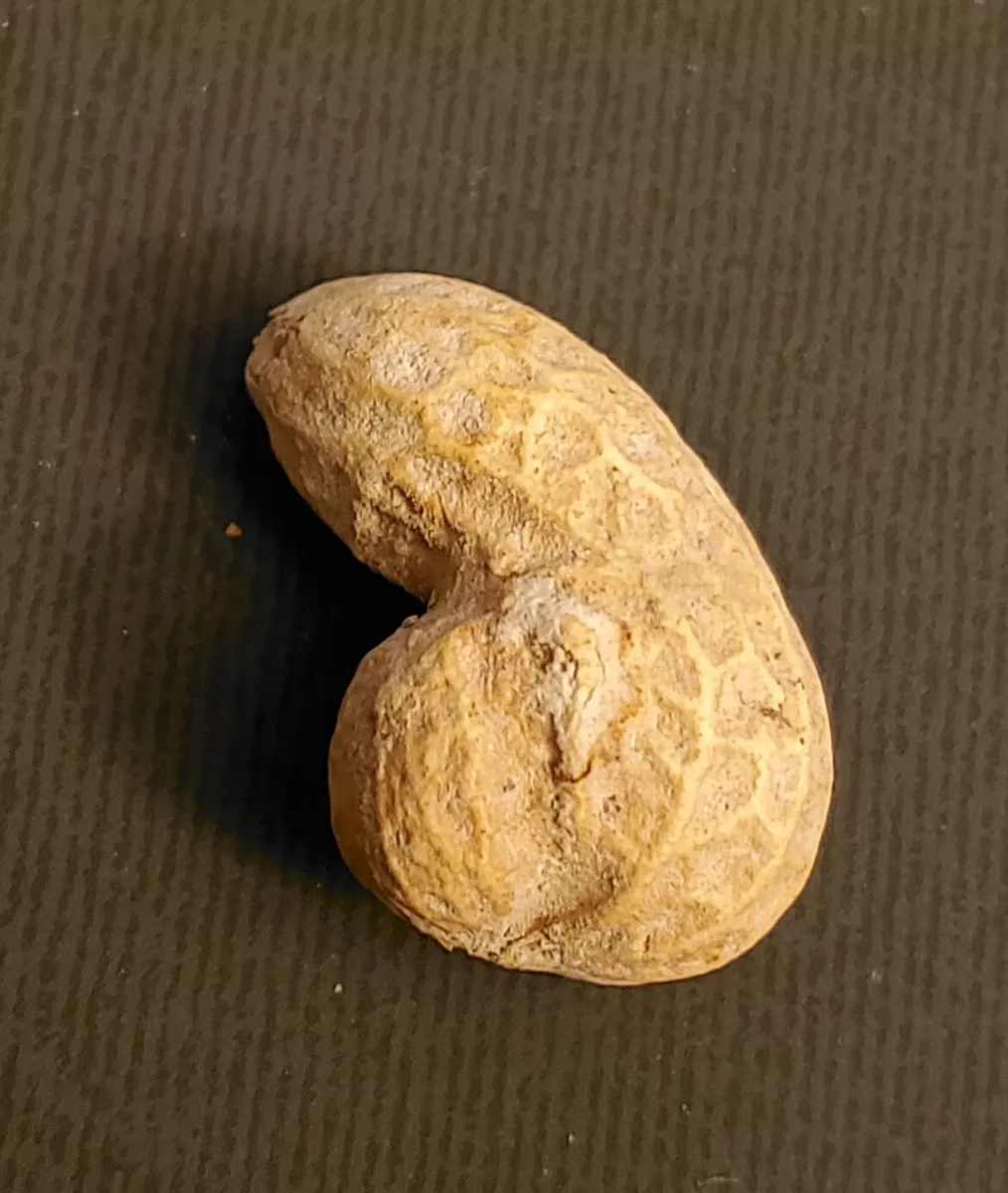 derek pirie add photo penis in peanut butter
