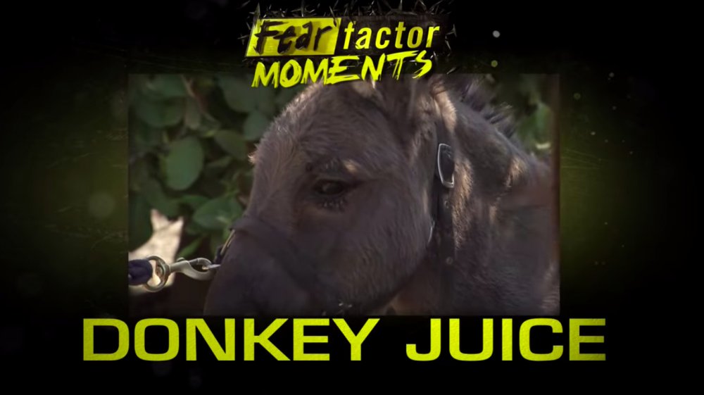 alyssa darby recommends donkey juice fear factor pic