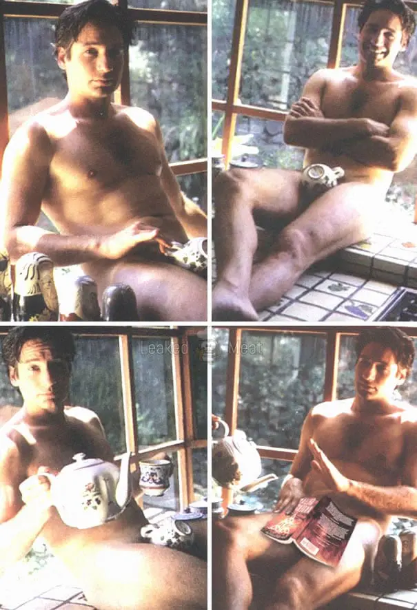 alejandro bastidas recommends david duchovny naked pic