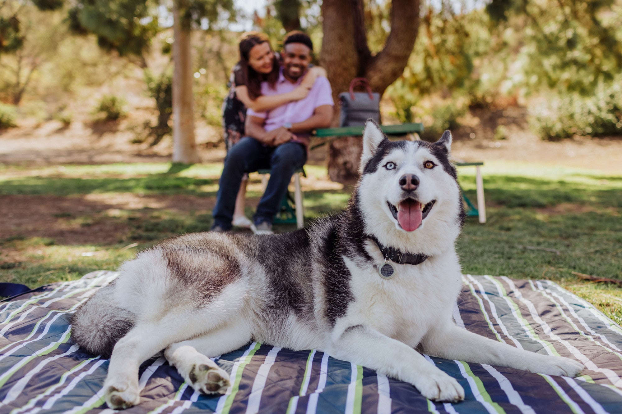 chandler stanton add blanket for outdoor photoshoot photo