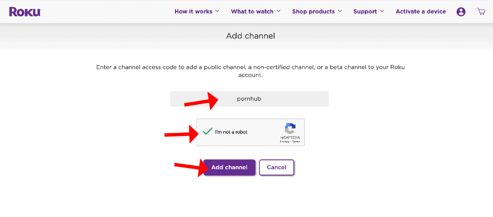 allison randall recommends How To Add Pornhub To My Roku