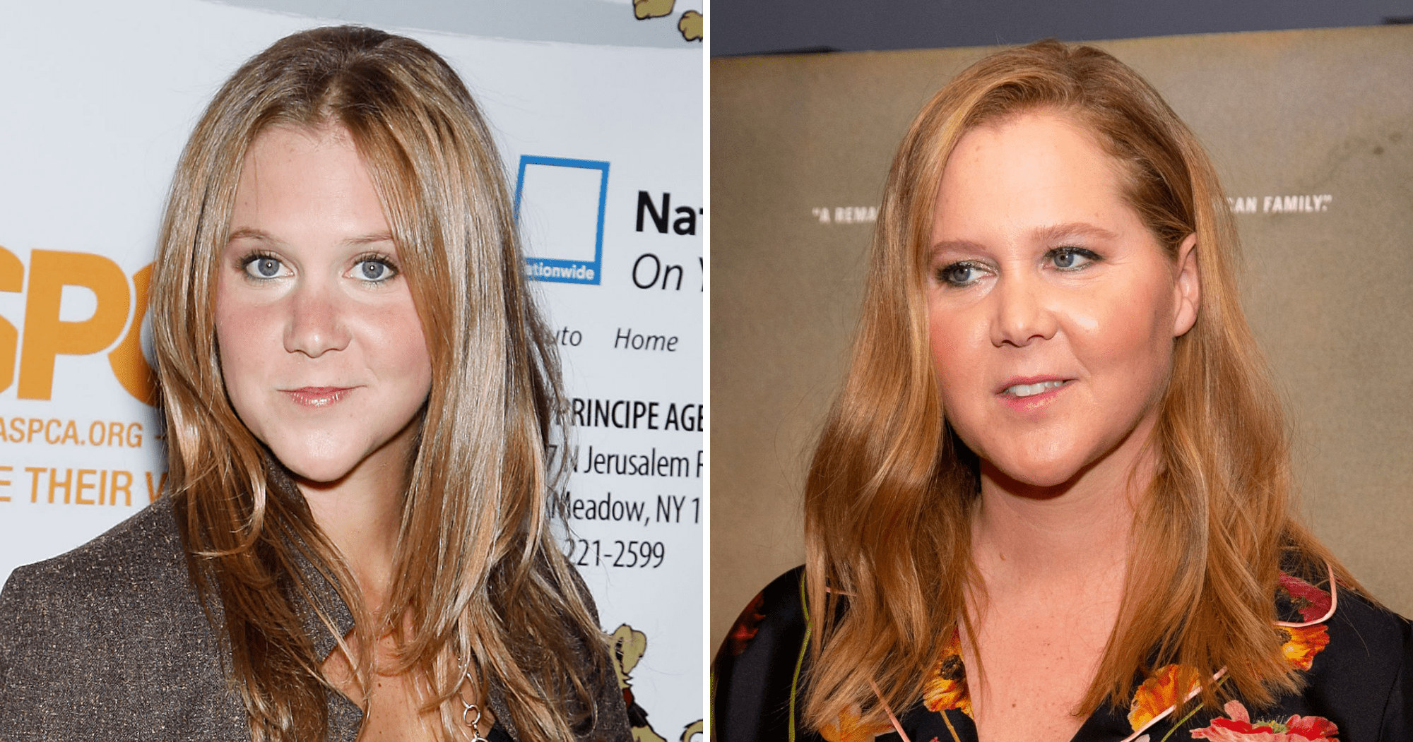 boris katz add photo amy schumer big tits