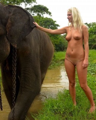 aurora reyna add elephant and girl porn photo