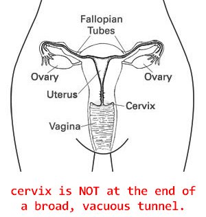 britney residori add photo dick in cervix porn