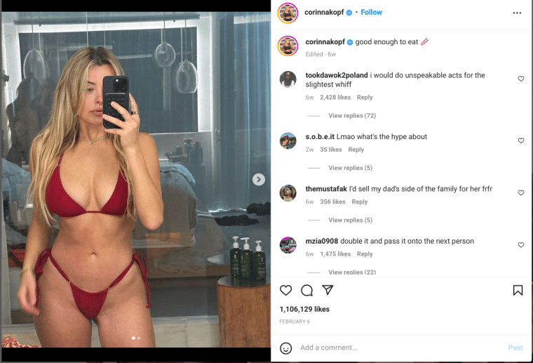 ahmed jahromi add corinna kopf topless photo