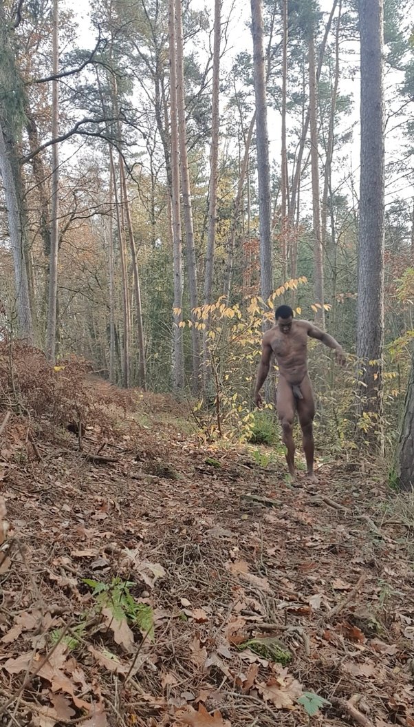 Best of Walking nude in the woods