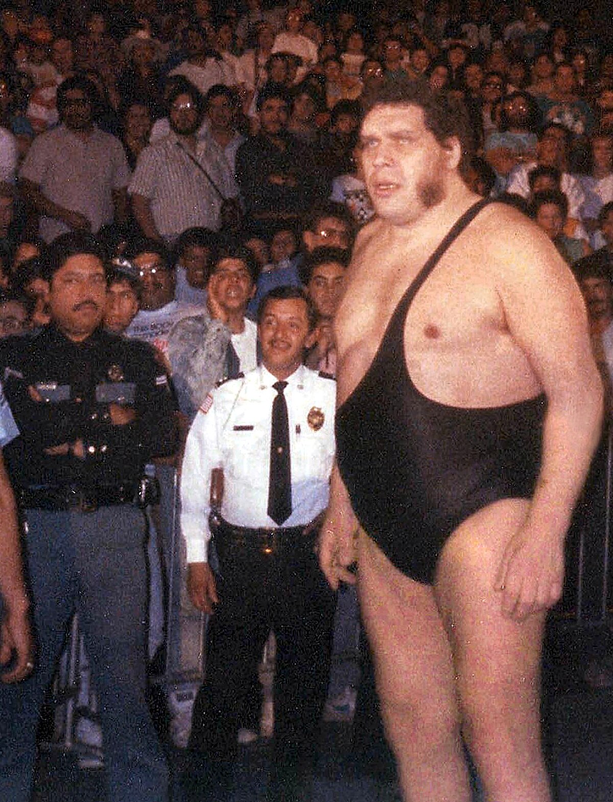 bruce provencher add photo andre the giant dick