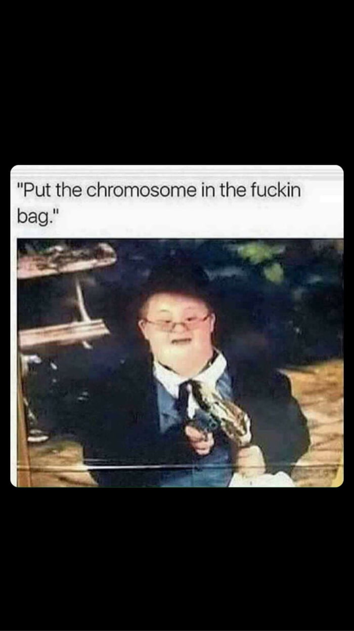 alexandre taniguchi recommends Put The Chromosome In The Bag