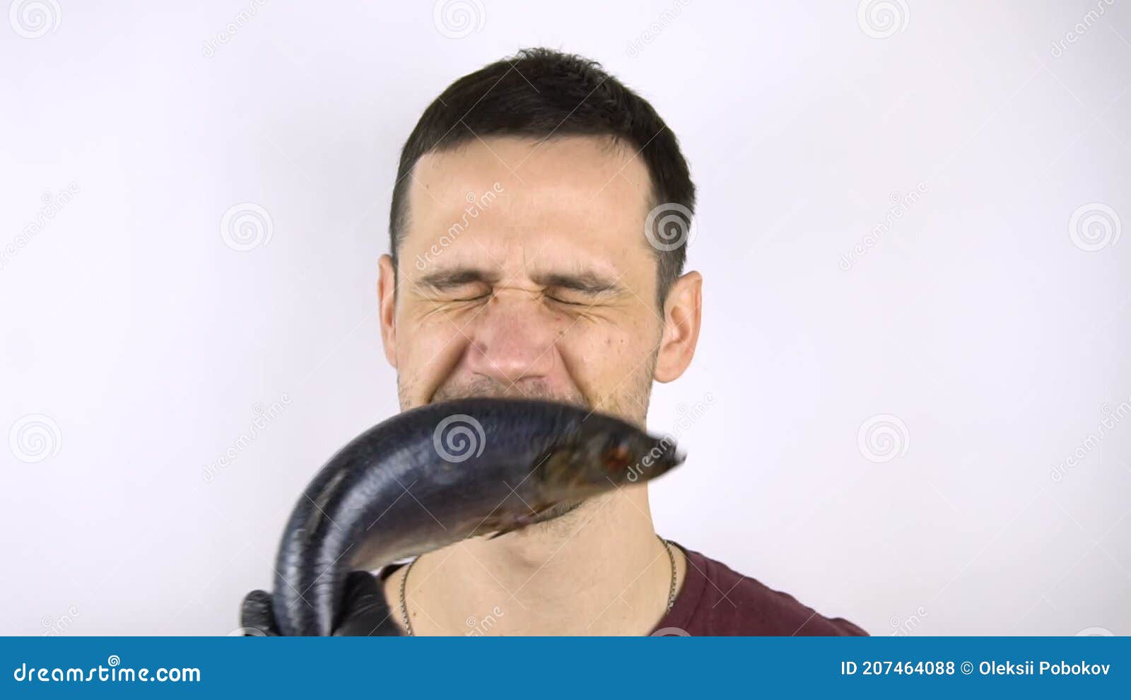 eel slap to the face