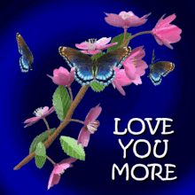 angela lyda add photo i love you more images gif