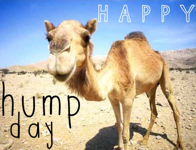 happy humpday images