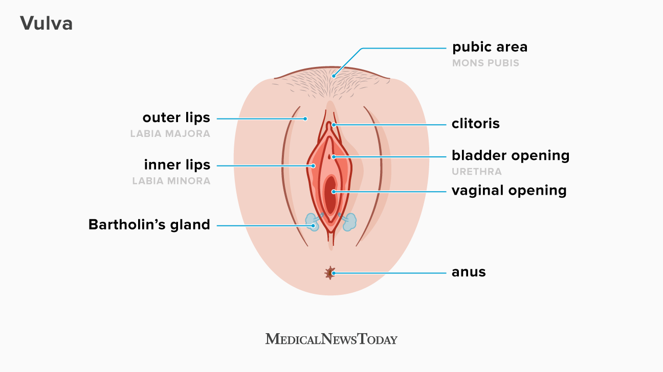 casimiro rodriguez add woman vagina pics photo