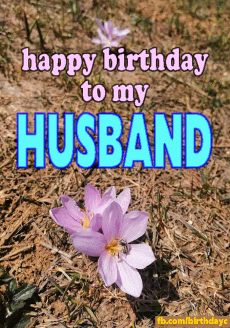 dayna hall hounsel recommends happy birthday to my hubby gif pic