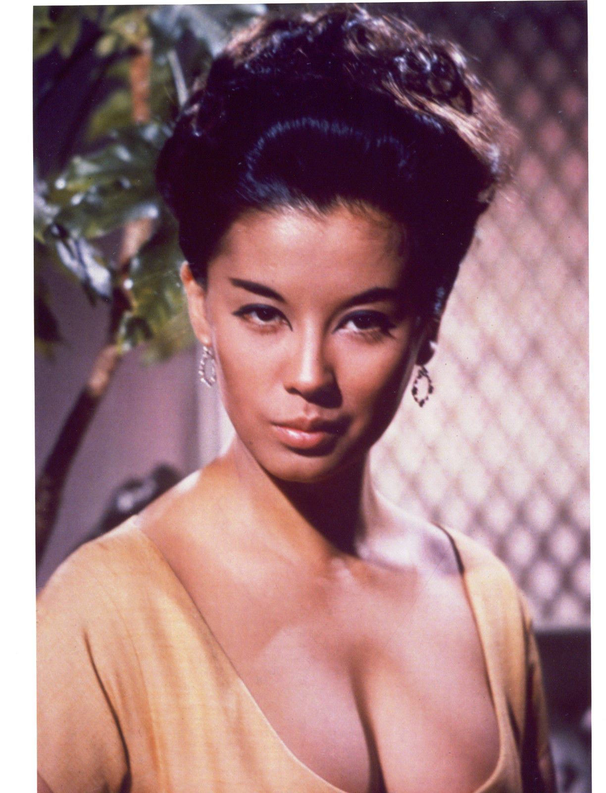 derrick stanford recommends france nuyen nude pic