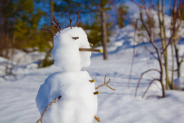 Frosty The Snowman Hd penis vibratoren