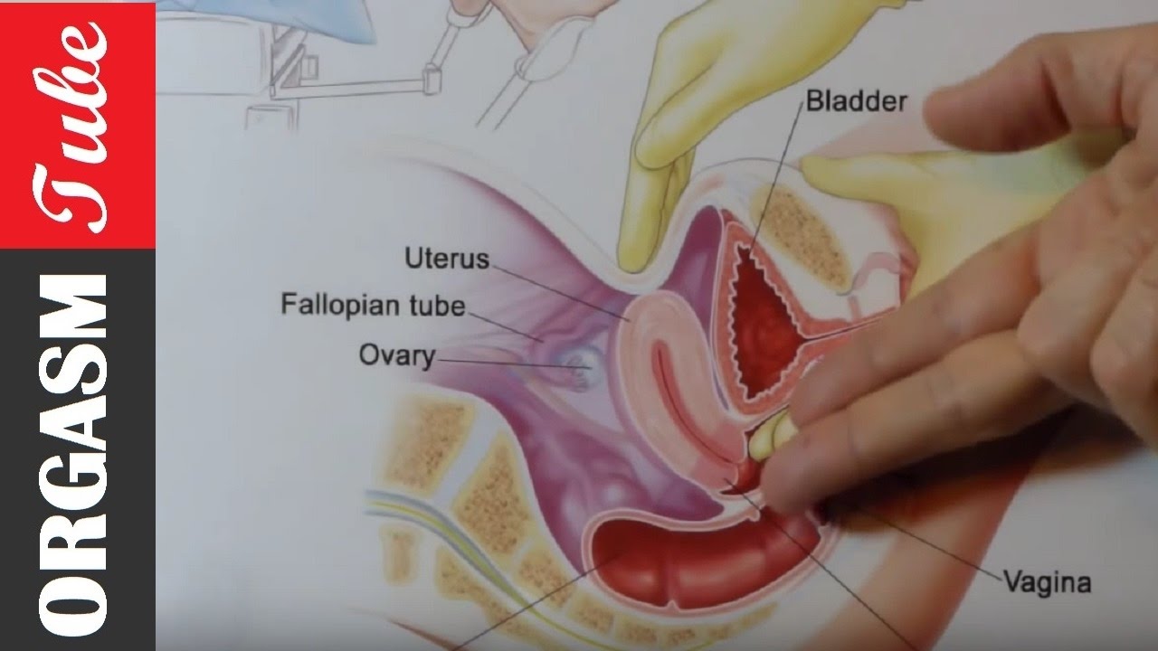 G Spot Orgasm Tube skien porn