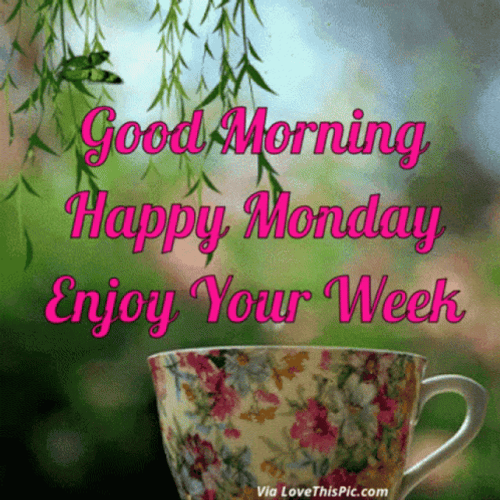 achriano toyang share good morning and happy monday gif photos