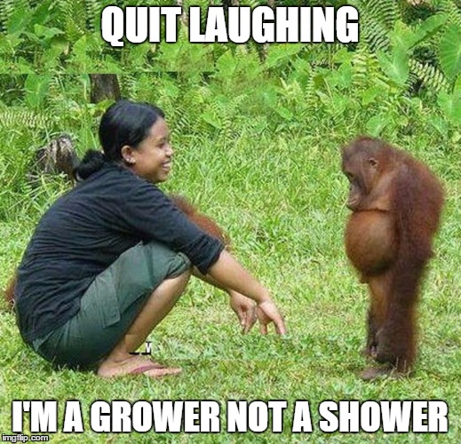 grower not a shower gif