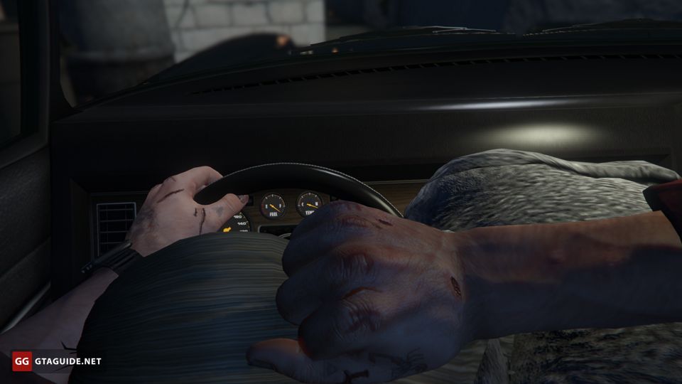 ann e harris recommends gta sex in car pic