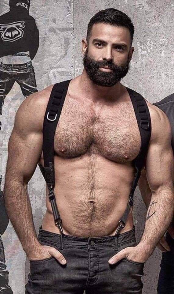 case donovan recommends hairy muscle gays pic