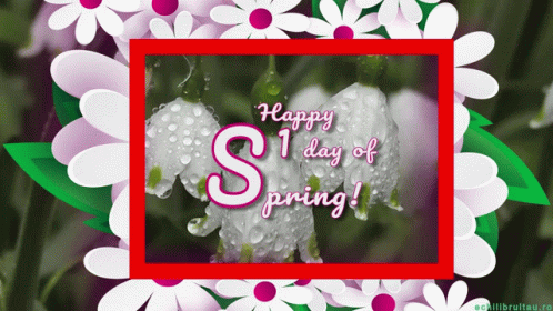 doris borg recommends happy first day of spring gif pic