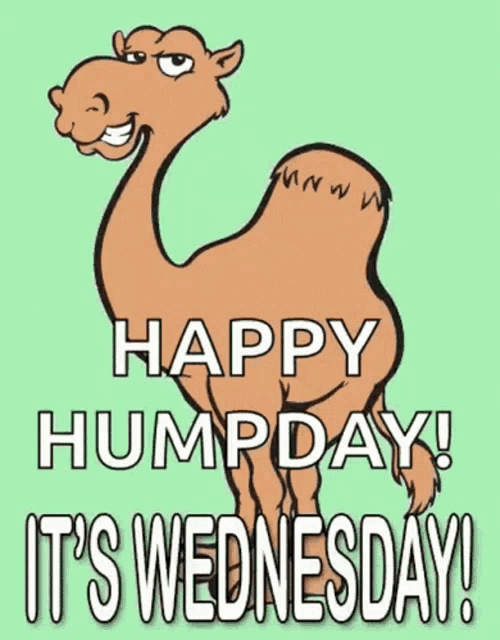 aline nadeau recommends happy humpday images pic