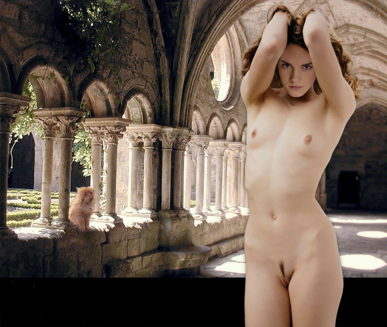 bob defeo add hermione granger naked photo
