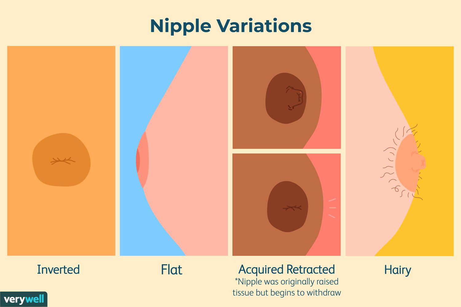 How Can I Make My Nipples Hard tube dutch