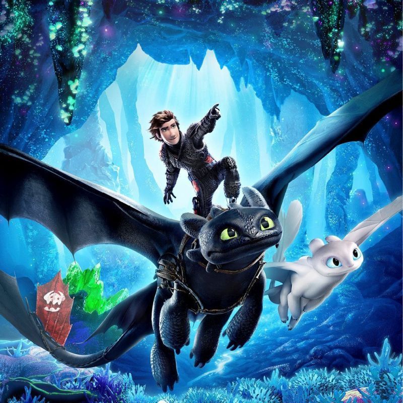 how to train your dragon pics