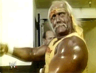 alison will recommends hulk hogan gif pic
