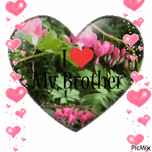 chris misener recommends i love my brother gif pic