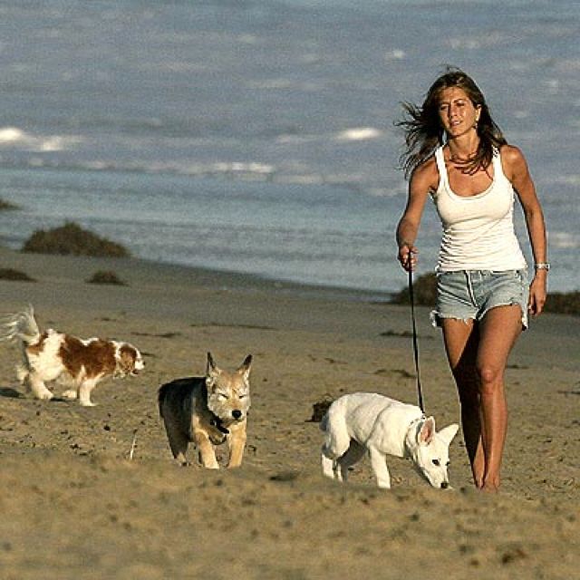 Jennifer Aniston Beach Walk deaf sex