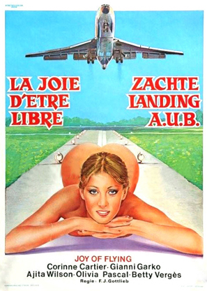 Joy Of Flying 1977 sink porn
