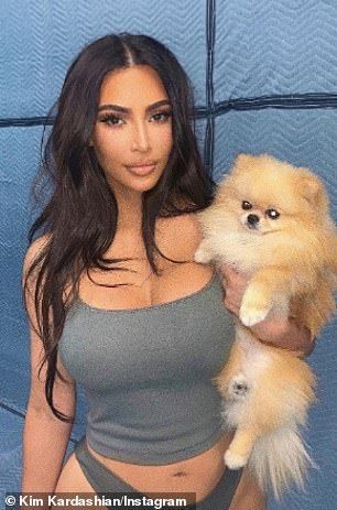 chris steinman add kim kardashian doggystyle photo