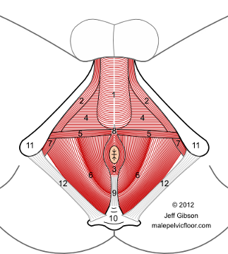 massage sex trigger points