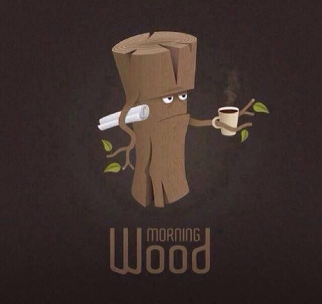 morning wood meme