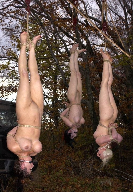 barb pariseau recommends naked girls hanging upside down pic