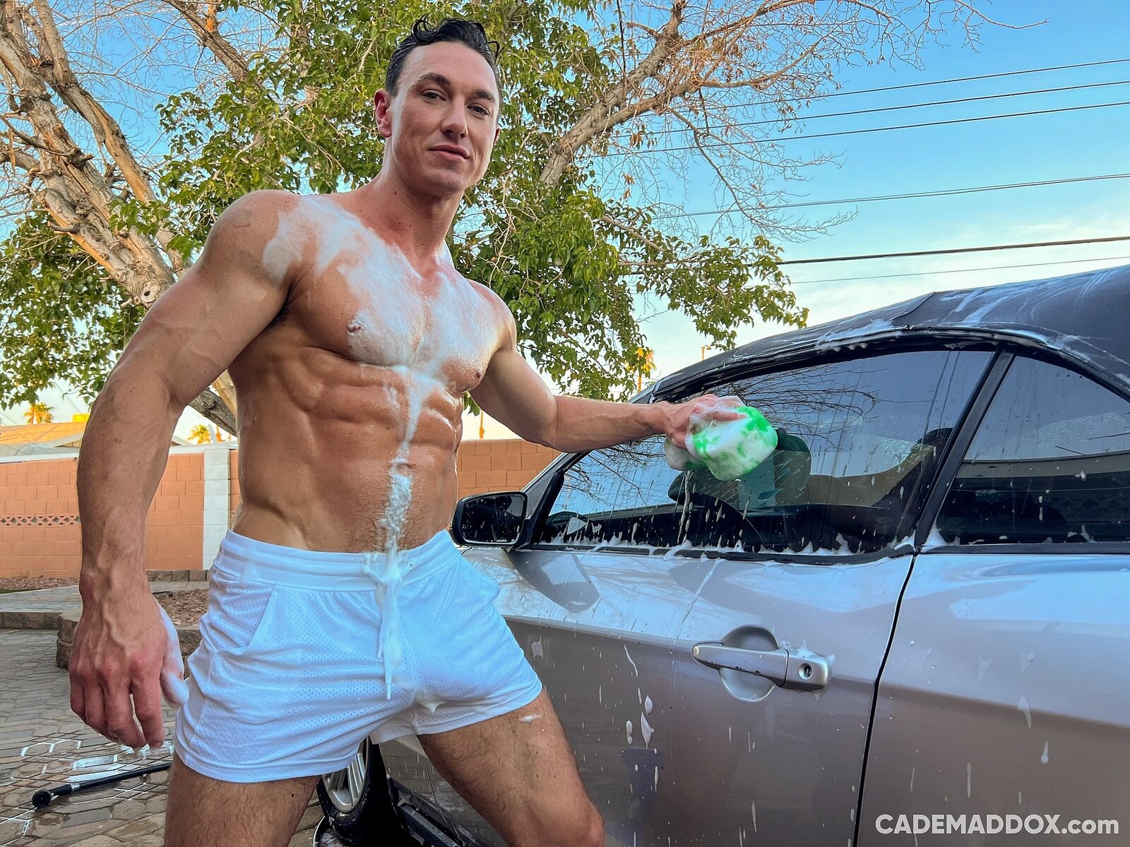 anukul chandra recommends Naked Men Car Wash