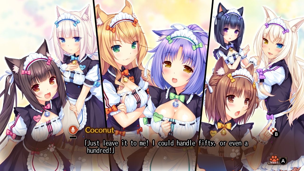 Best of Nekopara vol 2 adult patch