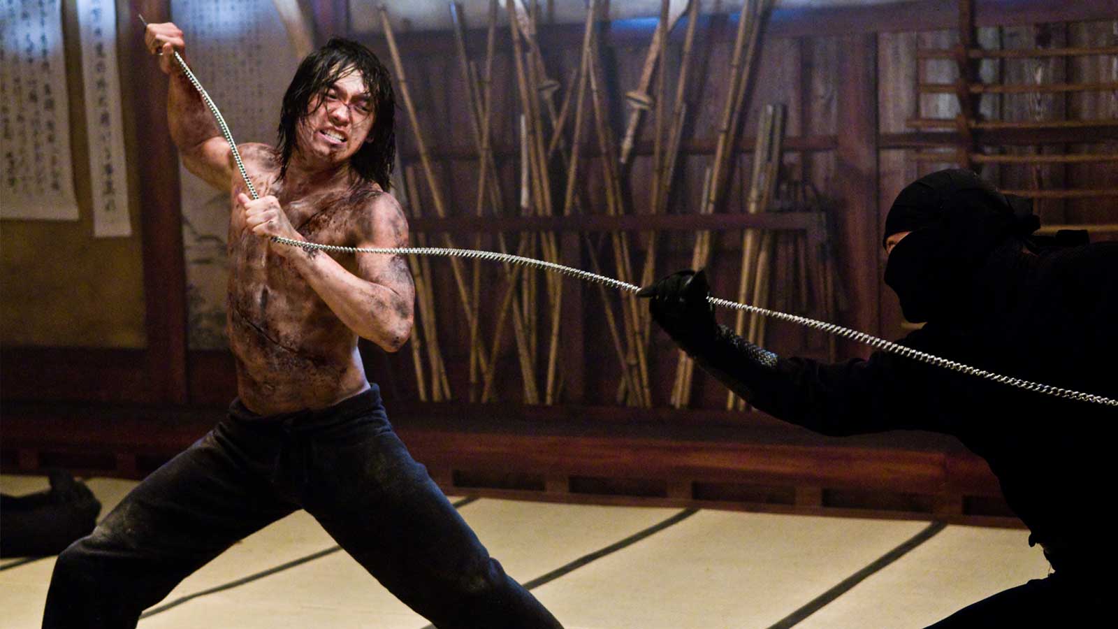 akaki prithibi recommends Ninja Assassin Movie Download